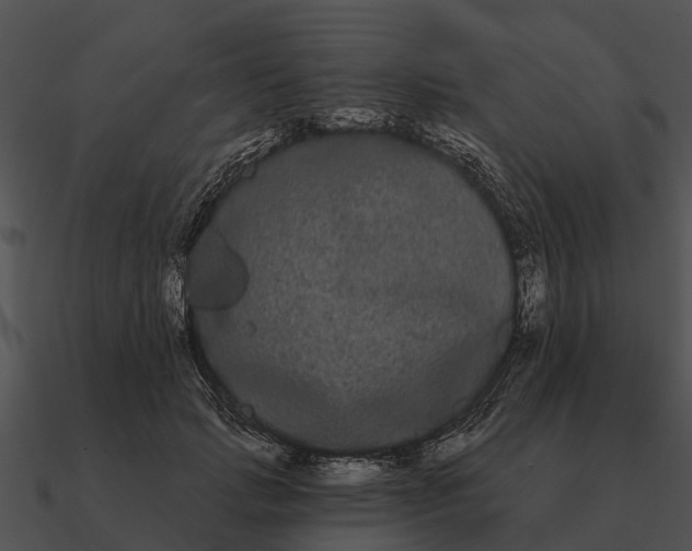 X0000090710749200708031433