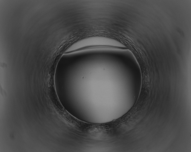 X0000090710750200708031433