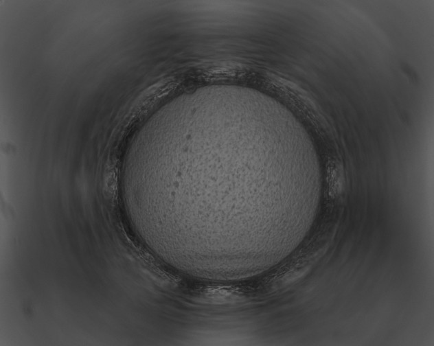 X0000090710753200708031433