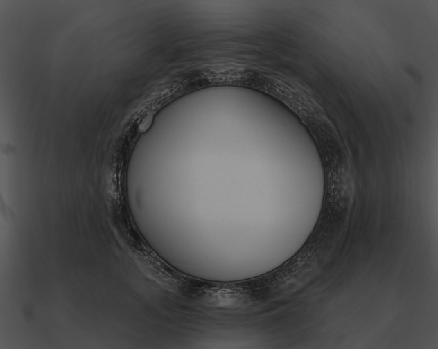 X0000090710755200708031433