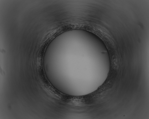 X0000090710756200708031433