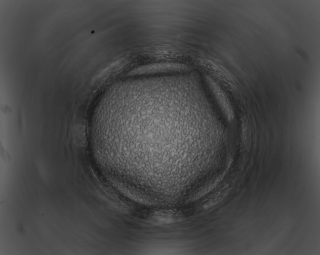 X0000090710757200708031433