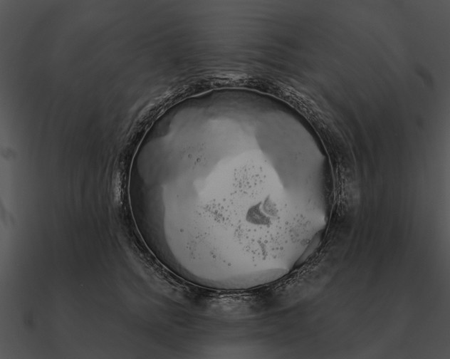 X0000090710758200708031433