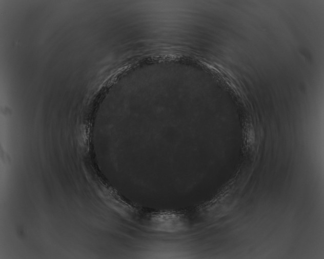 X0000090710759200708031433