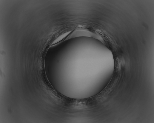 X0000090710760200708031433