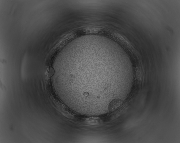 X0000090710761200708031433