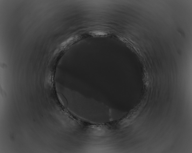 X0000090710763200708031433