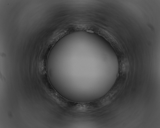 X0000090710764200708031433