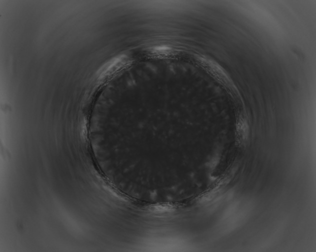 X0000090710765200708031433