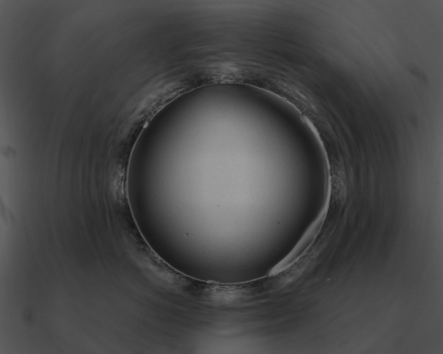 X0000090710766200708031433