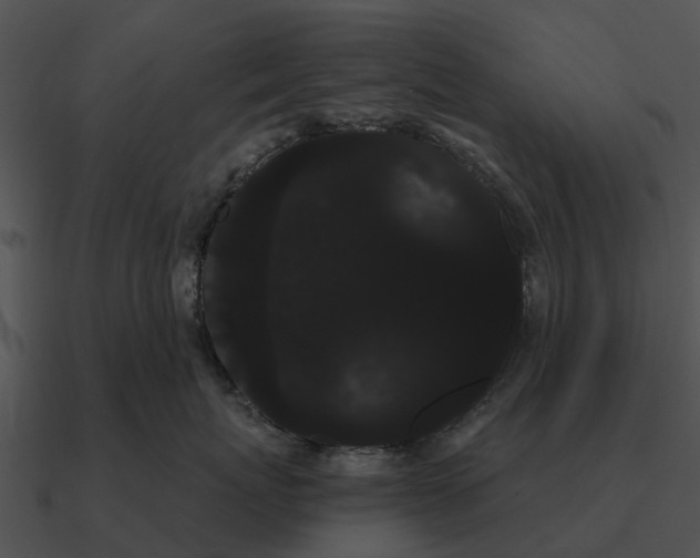 X0000090710767200708031433