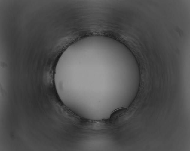 X0000090710768200708031433