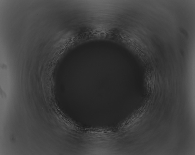 X0000090710769200708031432