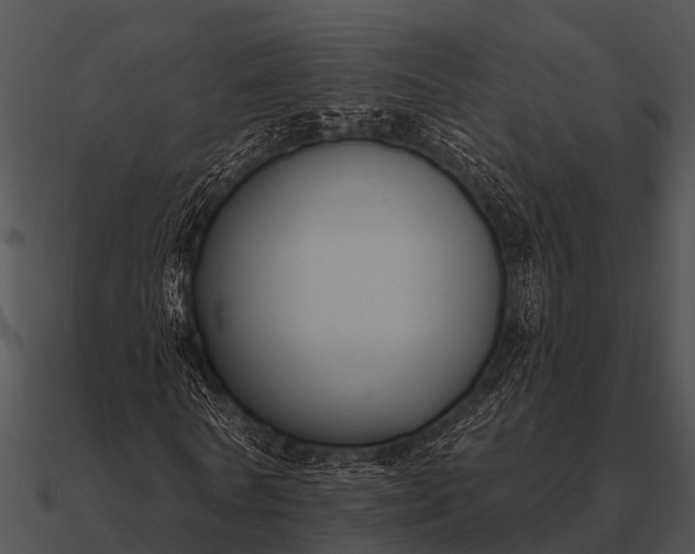 X0000090710770200708031432