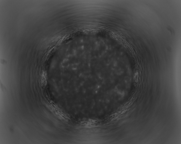 X0000090710772200708031432