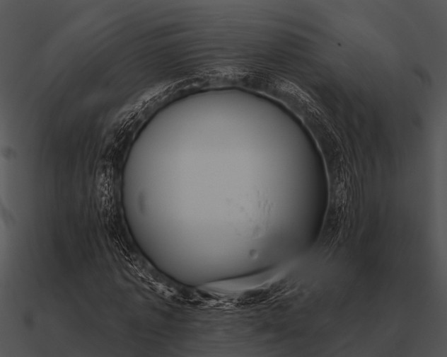 X0000090710773200708031432