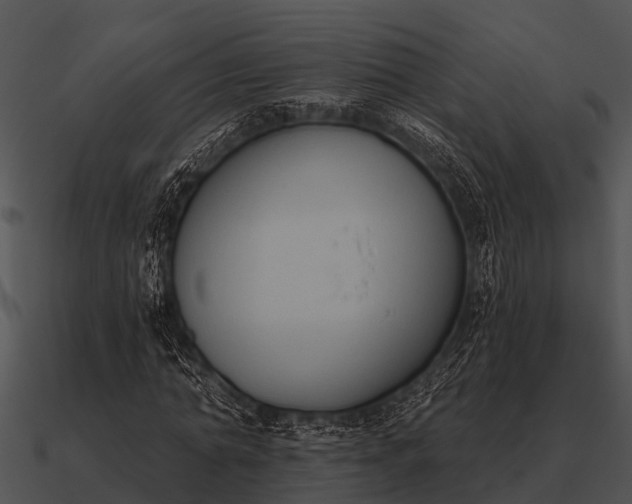 X0000090710774200708031432