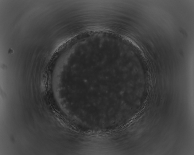 X0000090710775200708031432