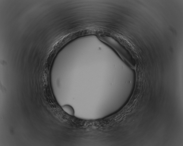 X0000090710776200708031432