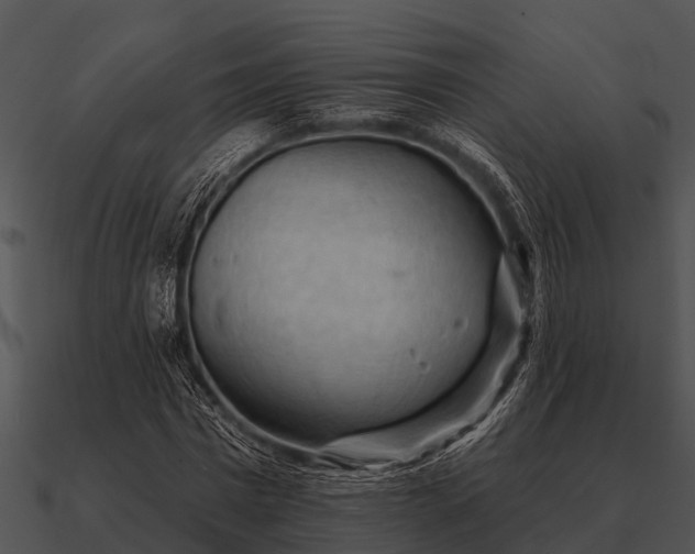 X0000090710777200708031432