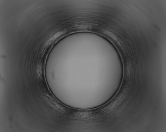 X0000090710778200708031432