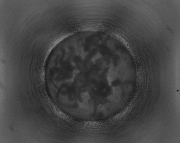 X0000090710779200708031432