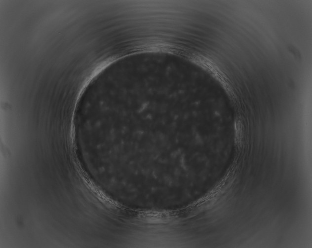 X0000090710780200708031432