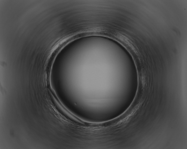 X0000090710781200708031432