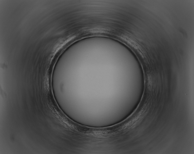 X0000090710782200708031432