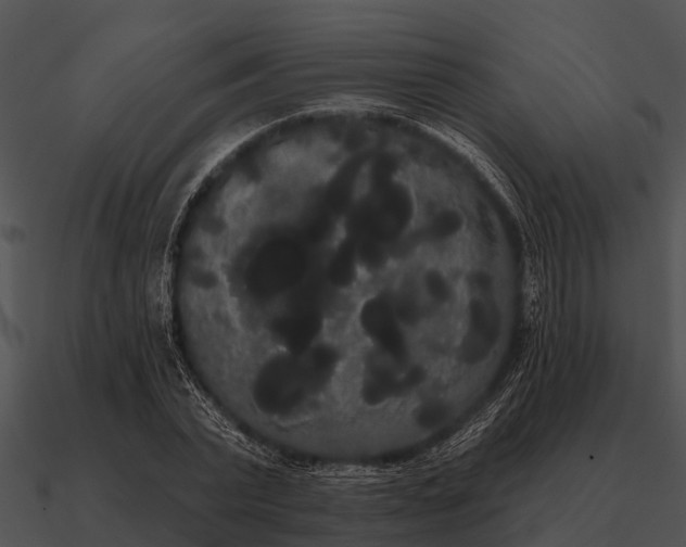 X0000090710783200708031432