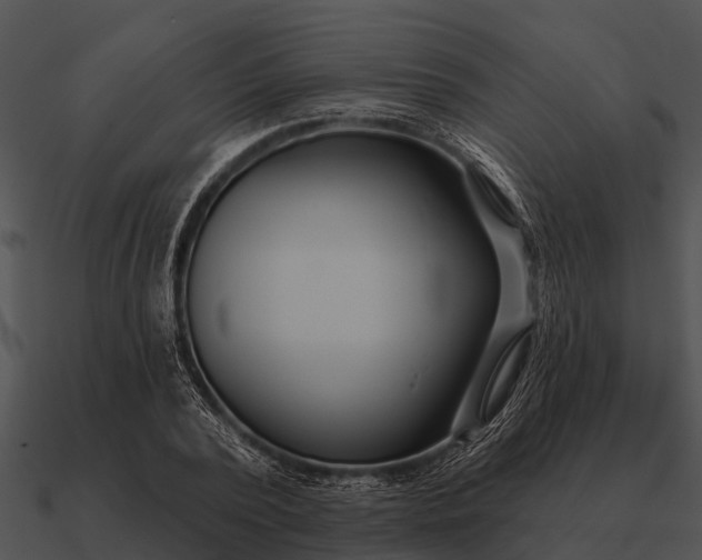 X0000090710784200708031432