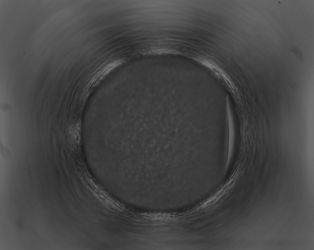 X0000090710785200708031432