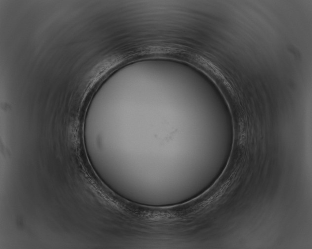 X0000090710786200708031432