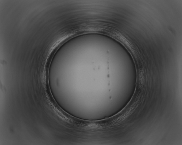 X0000090710787200708031432