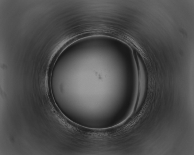 X0000090710788200708031432