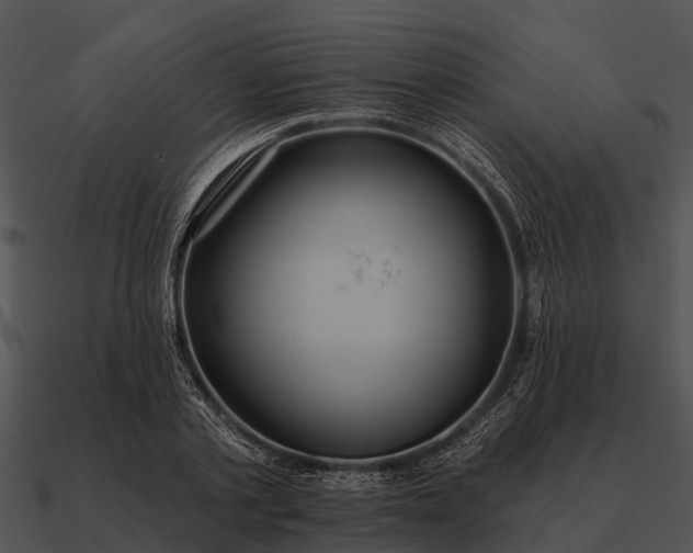 X0000090710789200708031432