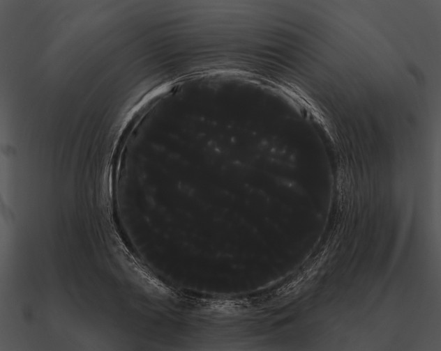 X0000090710790200708031432