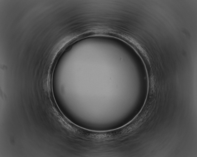 X0000090710791200708031432