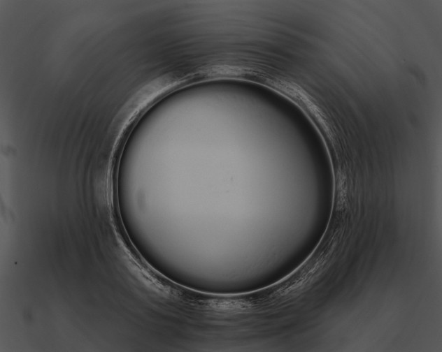 X0000090710795200708031432