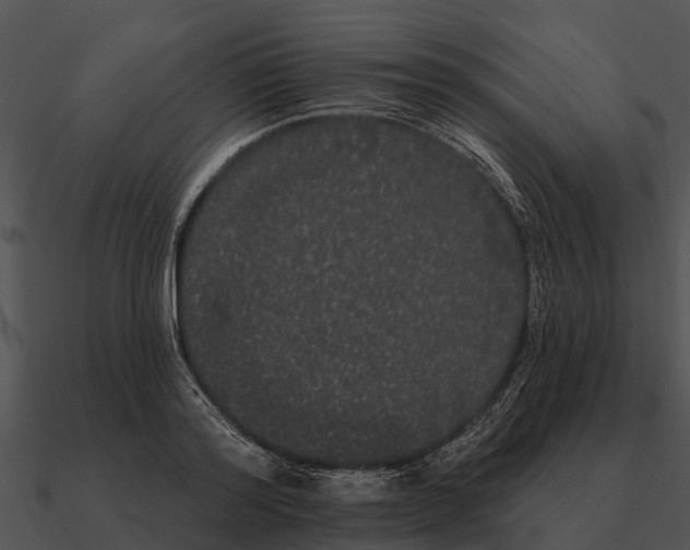 X0000090710796200708031432