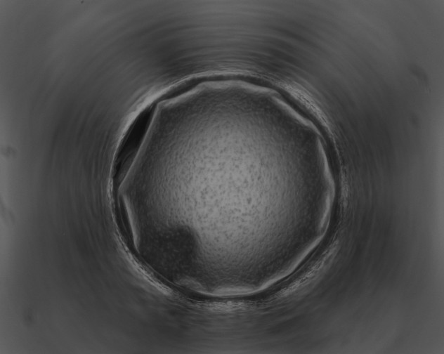 X0000090710797200708031432