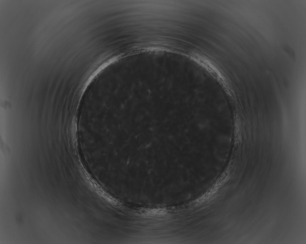 X0000090710798200708031432