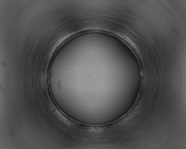 X0000090710799200708031432