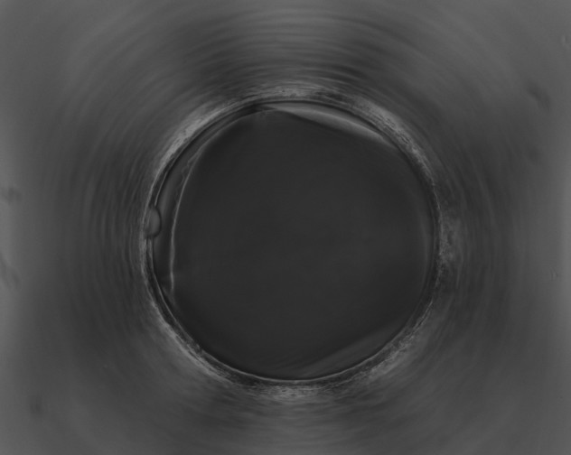 X0000090710802200708031432