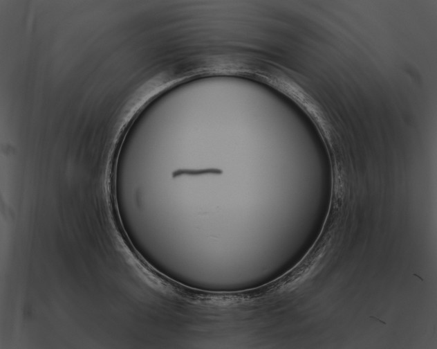 X0000090710803200708031432