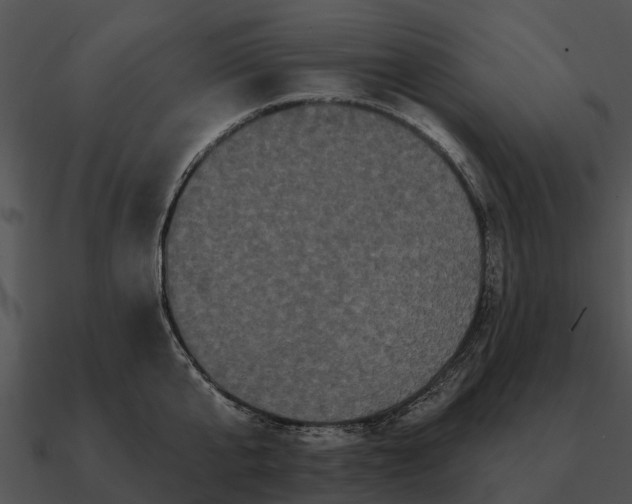 X0000090710807200708031432