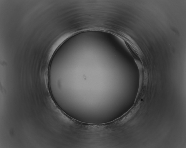 X0000090710812200708031432