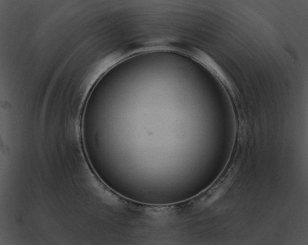 X0000090710813200708031432