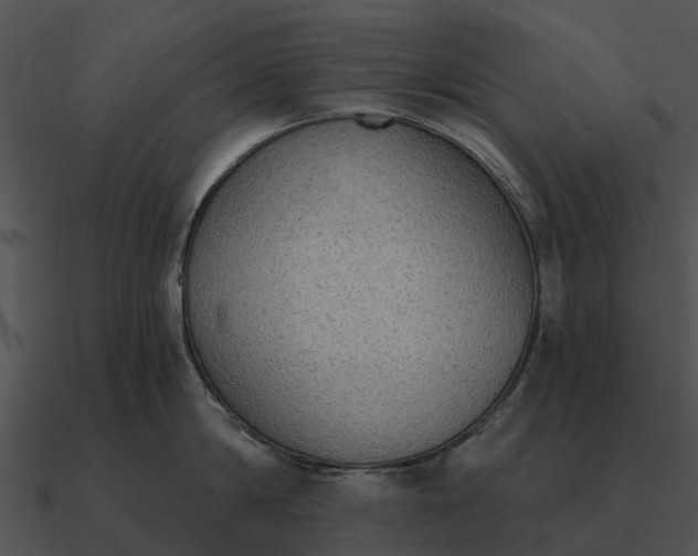 X0000090710814200708031432