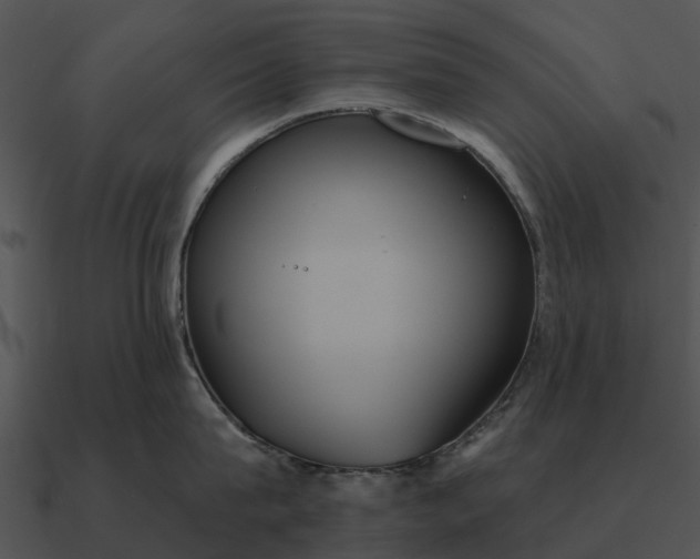 X0000090710815200708031432